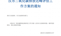 武汉市二氧化碳排放达峰评估工作方案（附下载）