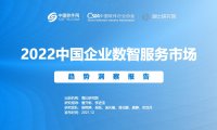 海比研究院：2022中国企业数智服务市场趋势洞察报告（附下载）