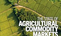 联合国粮农组织：2022年农产品市场状况报告