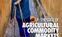 联合国粮农组织：2020年农产品市场状况互动报告