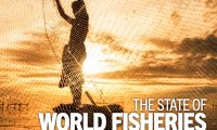 联合国粮农组织：2022年世界渔业和水产养殖状况报告