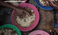 FAO&WFP：2022年“饥饿热点”报告