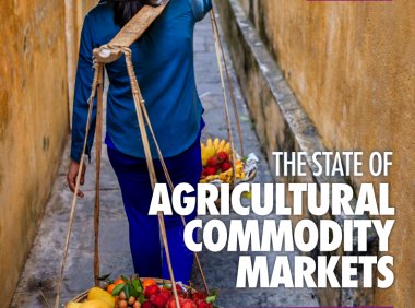 联合国粮农组织：2020年农产品市场状况互动报告