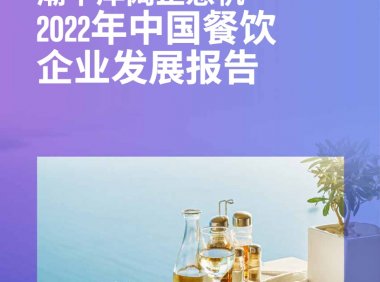 毕马威：2022年中国餐饮企业发展报告