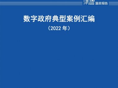 中国信通院：2022年数字政府典型案例汇编（附下载）