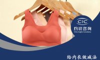 灼识咨询：2022中国内衣行业蓝皮书（附下载）