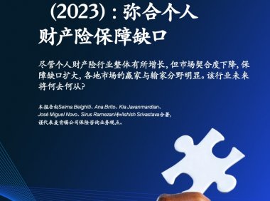2023年全球保险业报告：弥合个人财产险保障缺口（附下载）